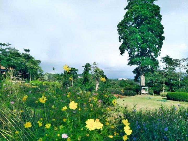 Arayana Phupimarn Resort & Spa Pak Chong Extérieur photo