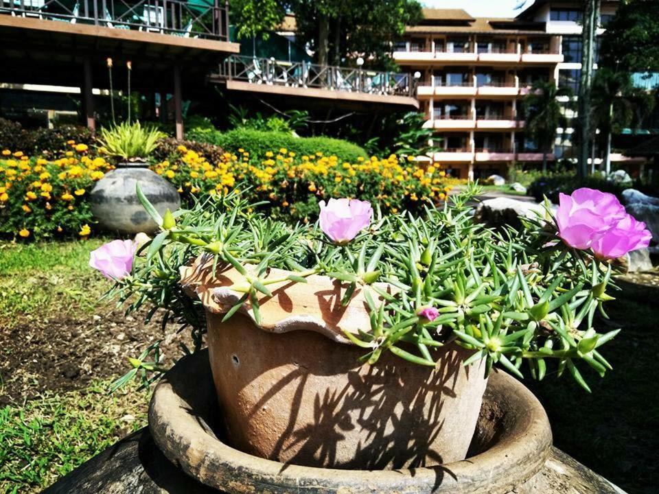 Arayana Phupimarn Resort & Spa Pak Chong Extérieur photo